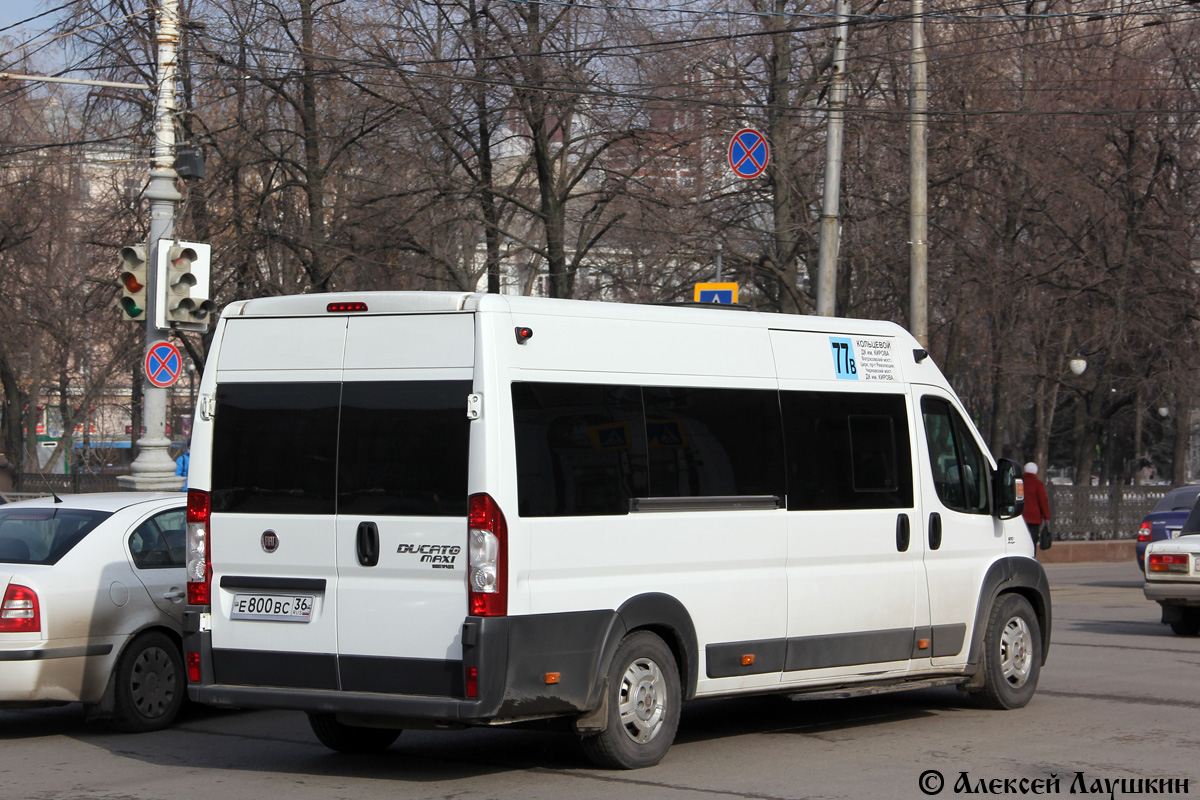 Воронежская область, Нижегородец-FST523 (FIAT Ducato) № Е 800 ВС 36