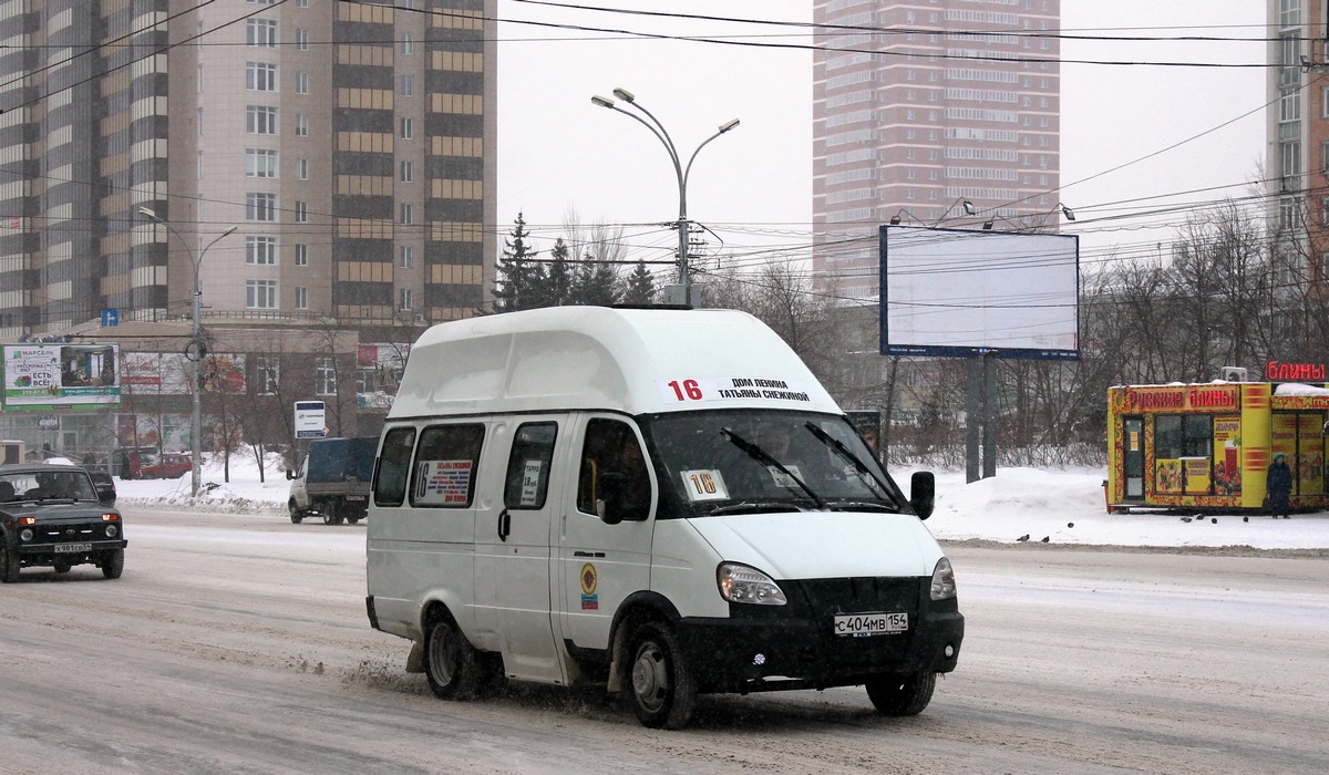 Novosibirsk region, Luidor-225000 (GAZ-322133) č. С 404 МВ 154