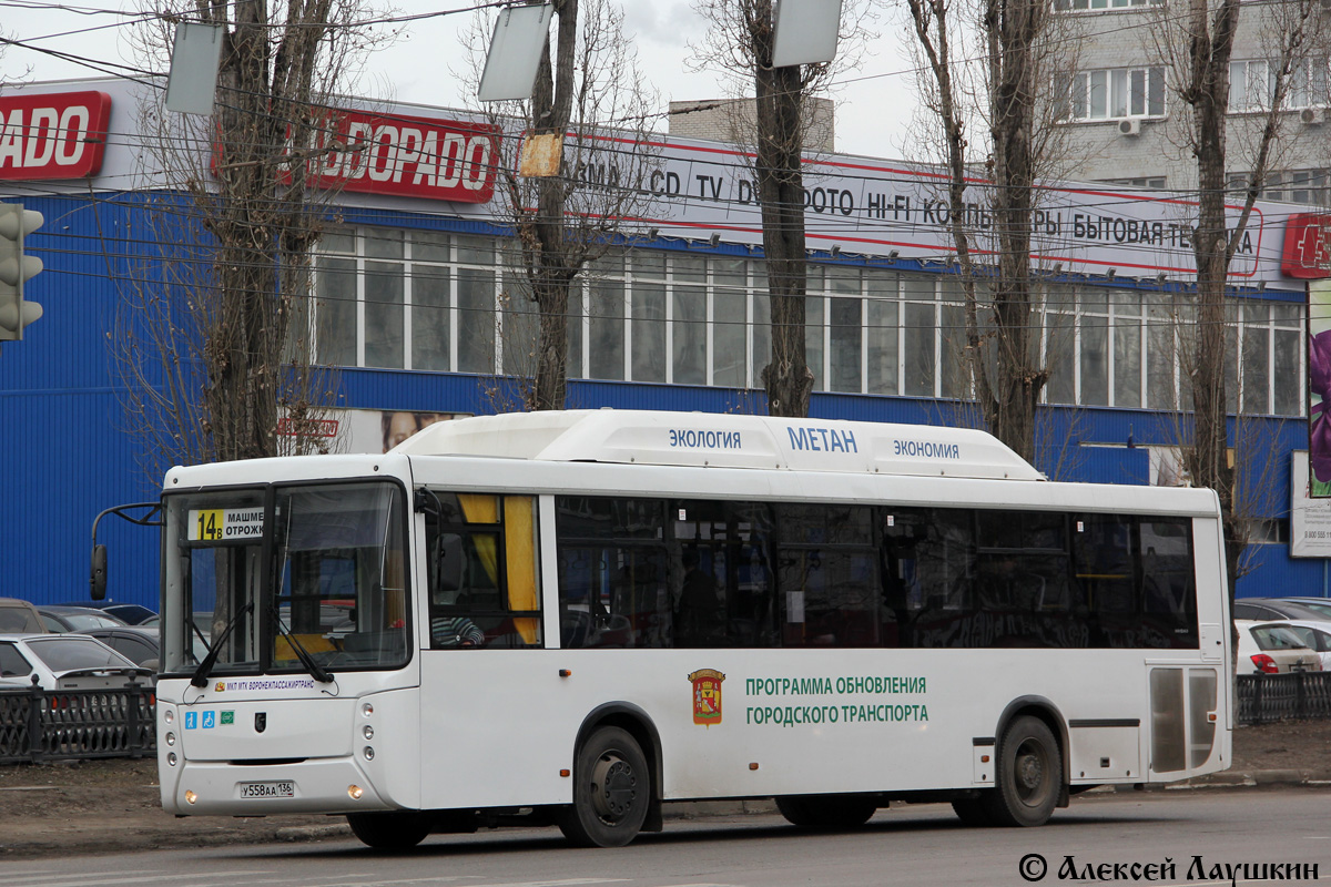 Voronezh region, NefAZ-5299-30-51 # У 558 АА 136