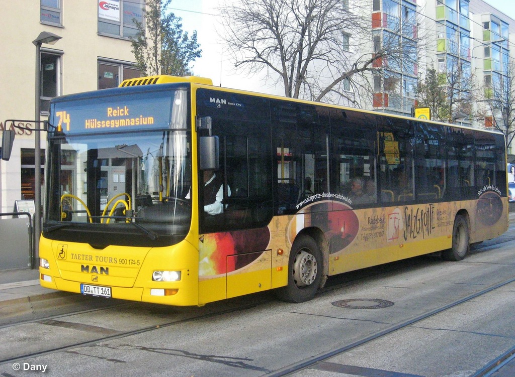 Саксония, MAN A21 Lion's City NL280 № 900 174-5