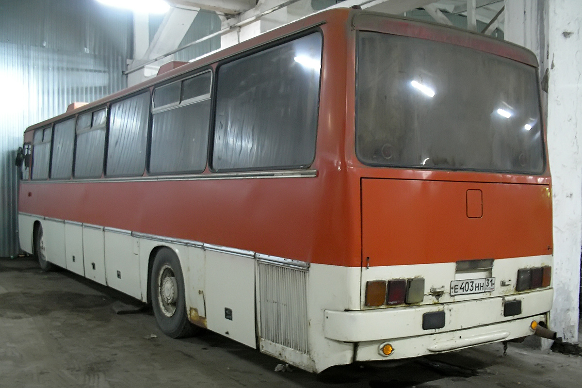 Белгородская область, Ikarus 250.93 № Е 403 НН 31