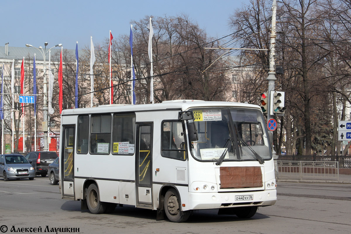 Воронежская область, ПАЗ-320302-08 № О 440 ХУ 36