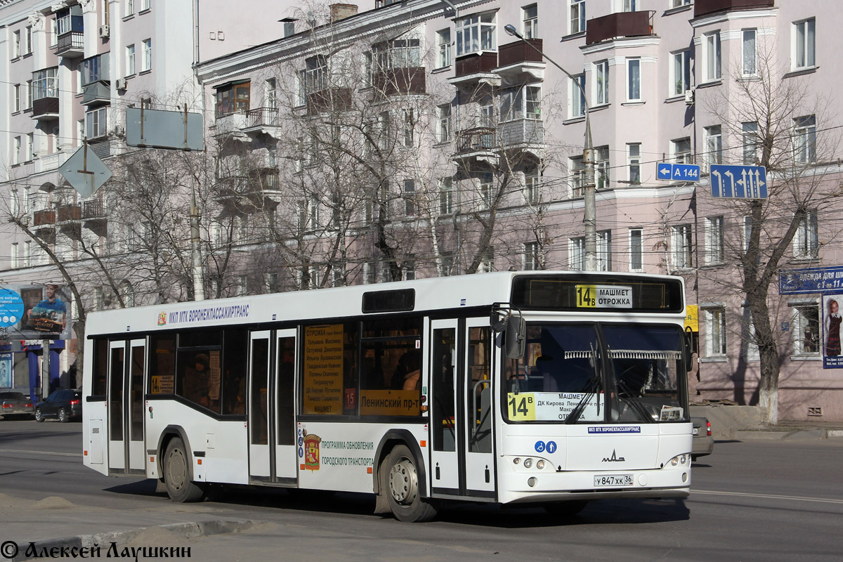 Воронежская область, МАЗ-103.469 № У 847 ХК 36