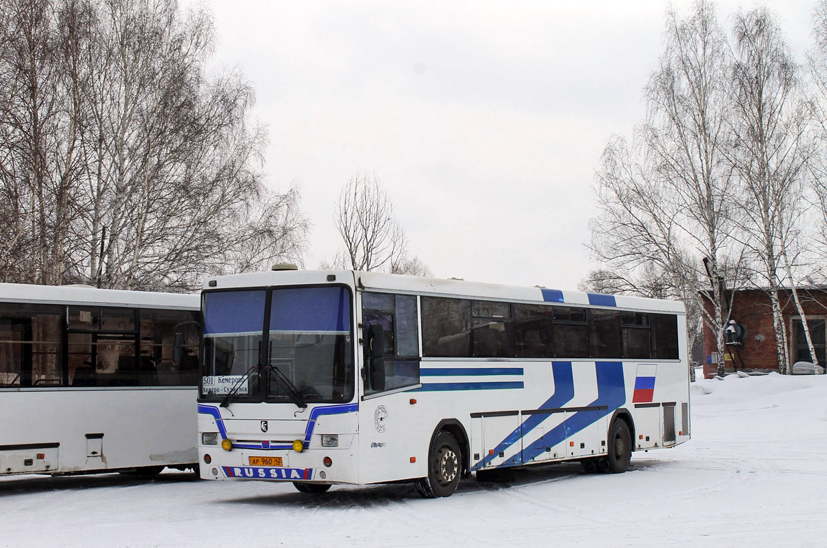 Kemerovo region - Kuzbass, NefAZ-5299-10-17 № 22