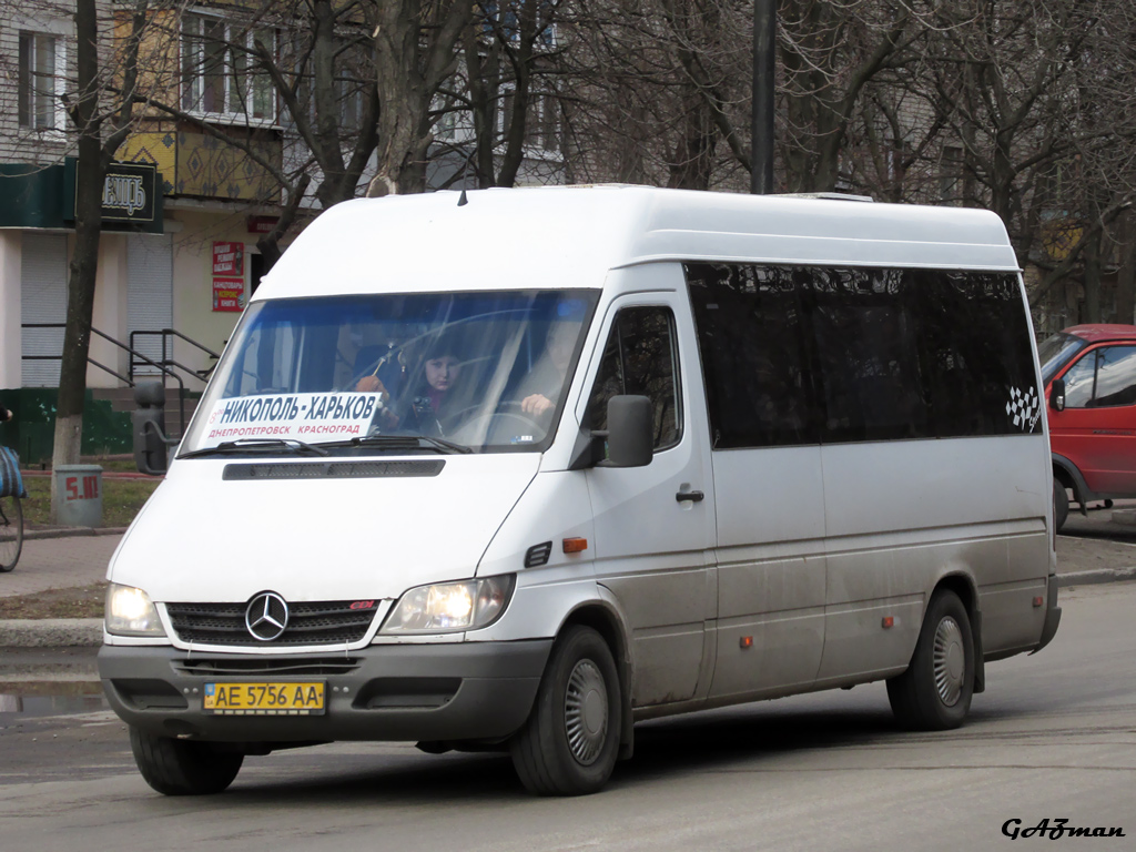 Днепропетровская область, Mercedes-Benz Sprinter W903 313CDI № AE 5756 AA