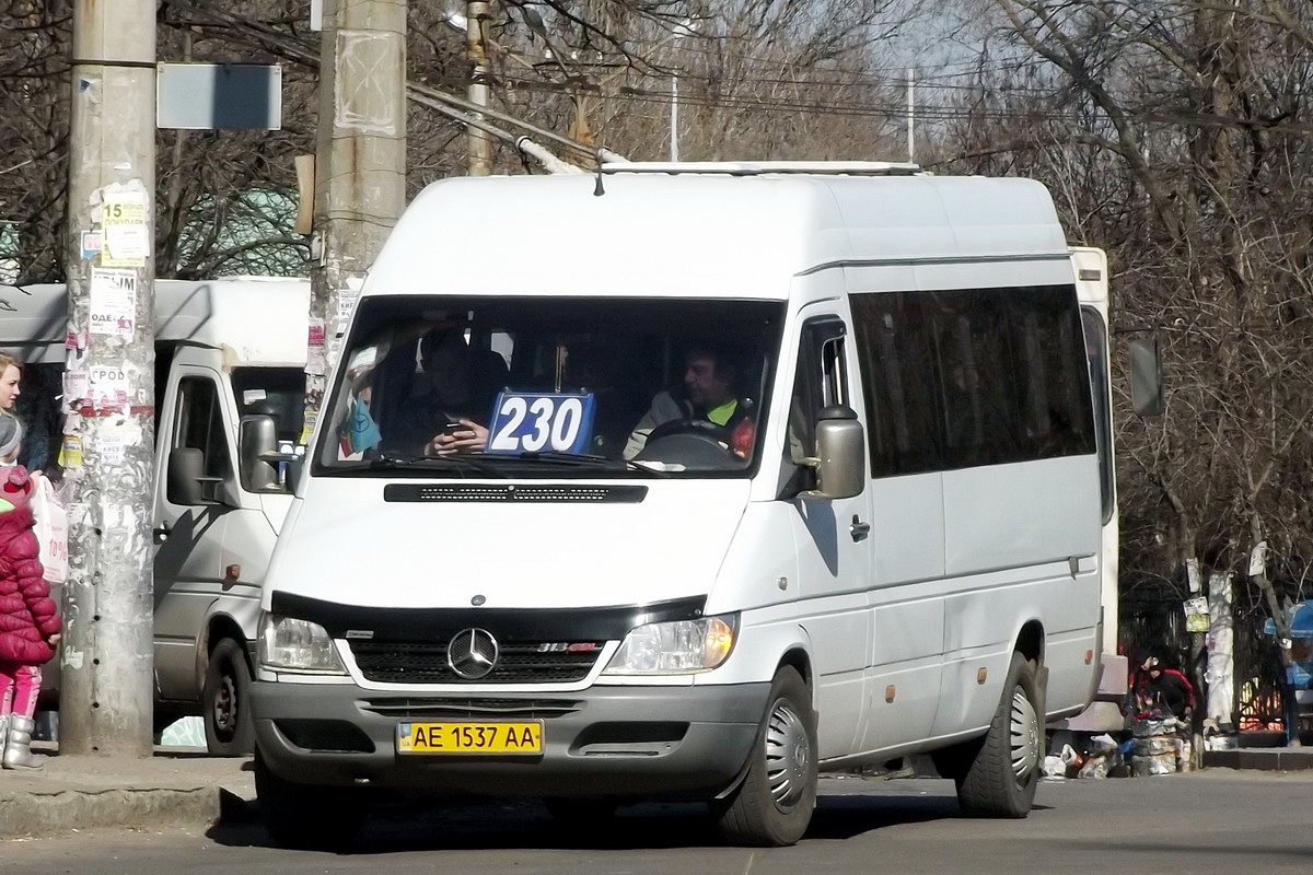 Днепропетровская область, Mercedes-Benz Sprinter W903 313CDI № AE 1537 AA