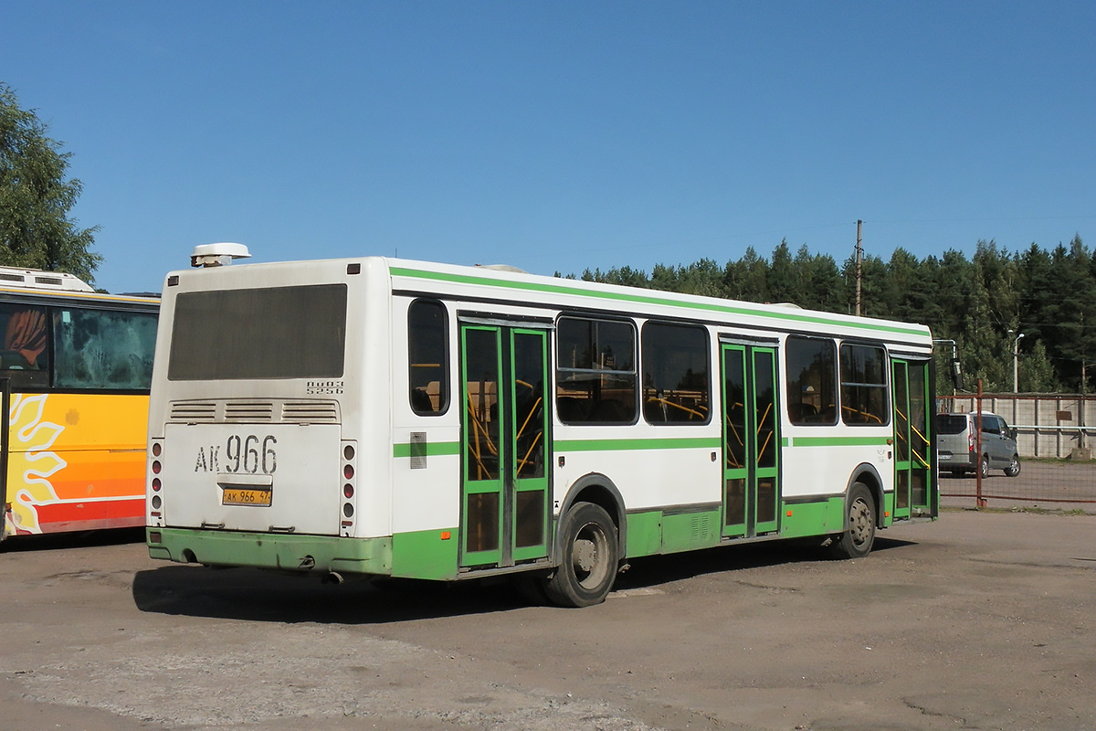 Ļeņingradas apgabals, LiAZ-5256.36 № 966