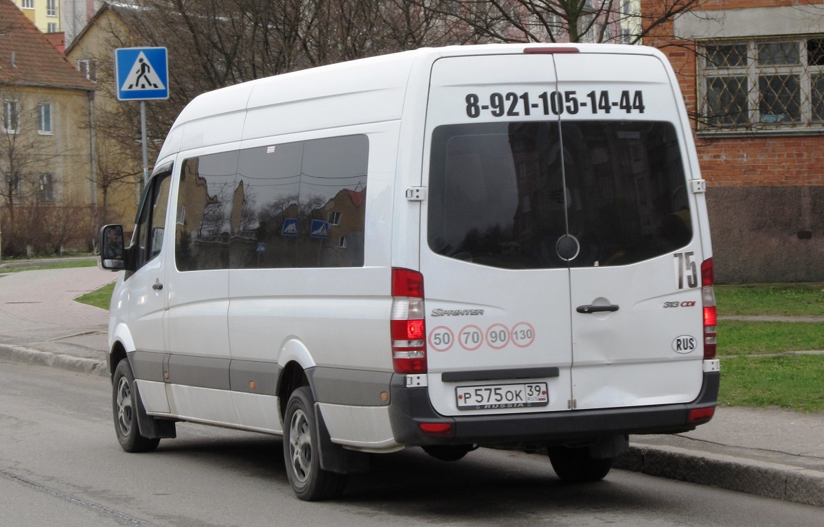 Калининградская область, Mercedes-Benz Sprinter W906 313CDI № Р 575 ОК 39