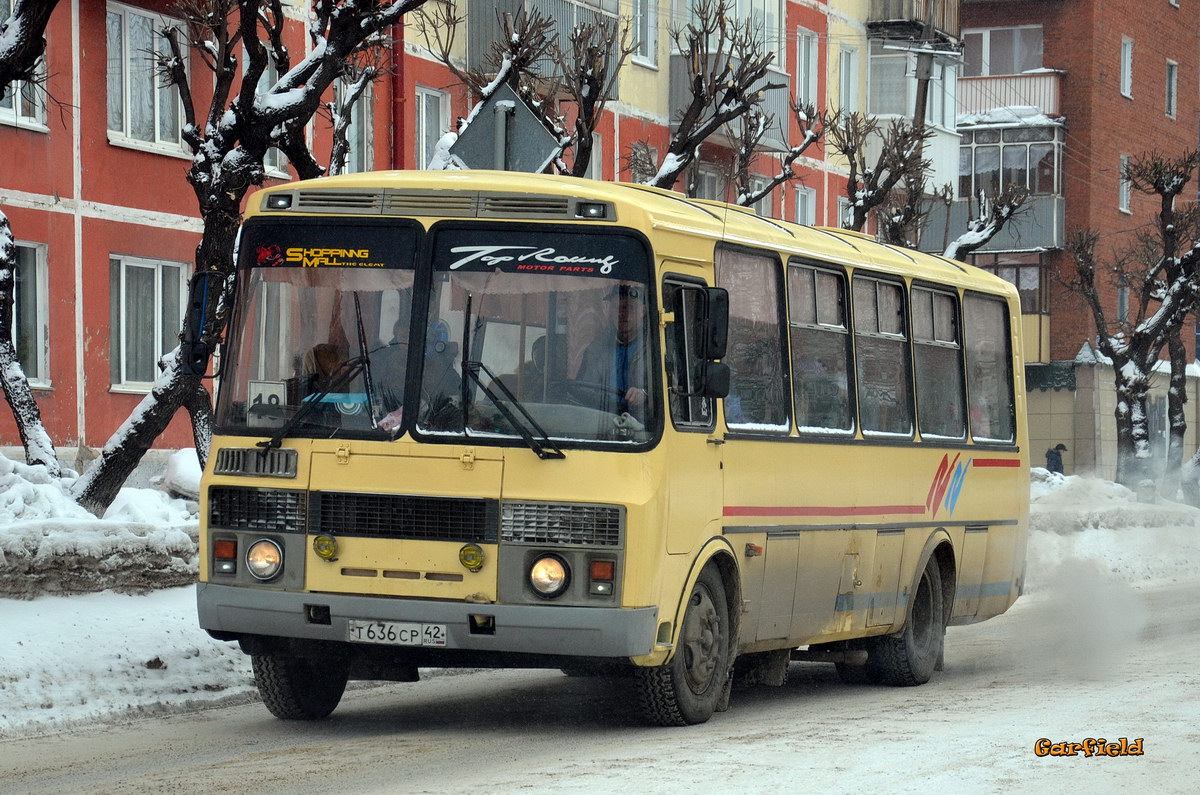 Кемеровская область - Кузбасс, ПАЗ-4234 № 11