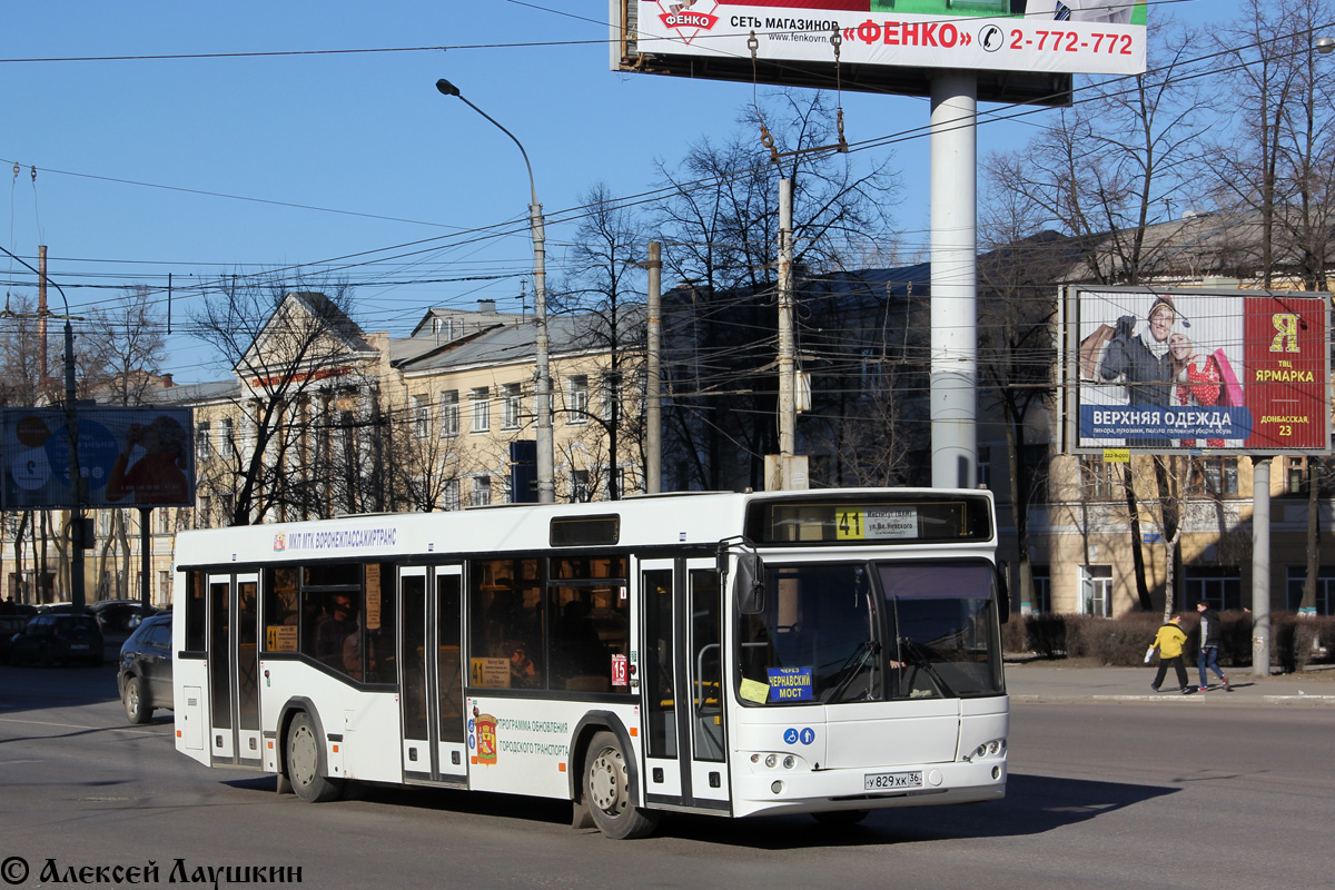 Воронежская область, МАЗ-103.469 № У 829 ХК 36