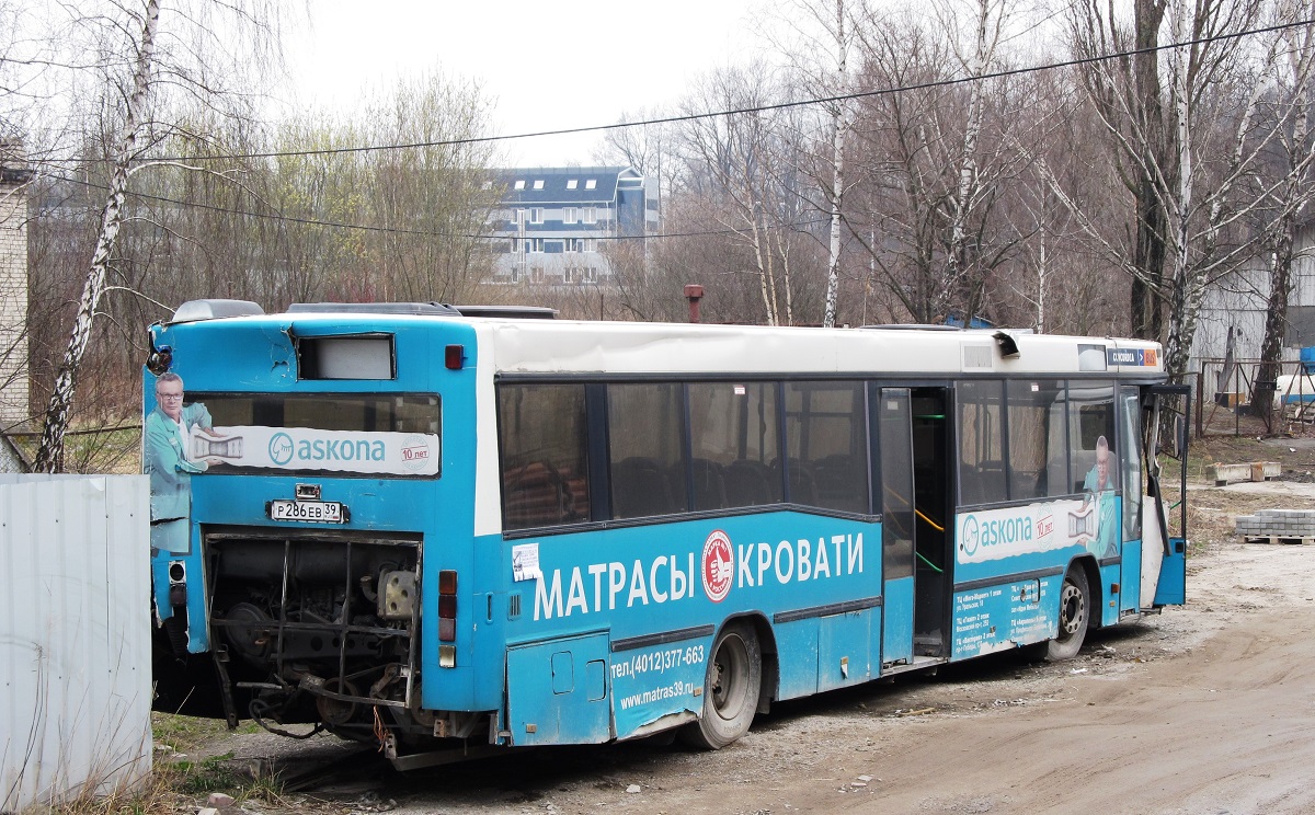 Калининградская область, Carrus K204 City M № Р 286 ЕВ 39