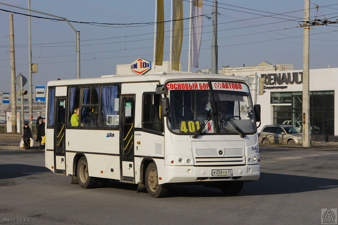 Ленинградская область, ПАЗ-320402-05 № В 258 УА 47