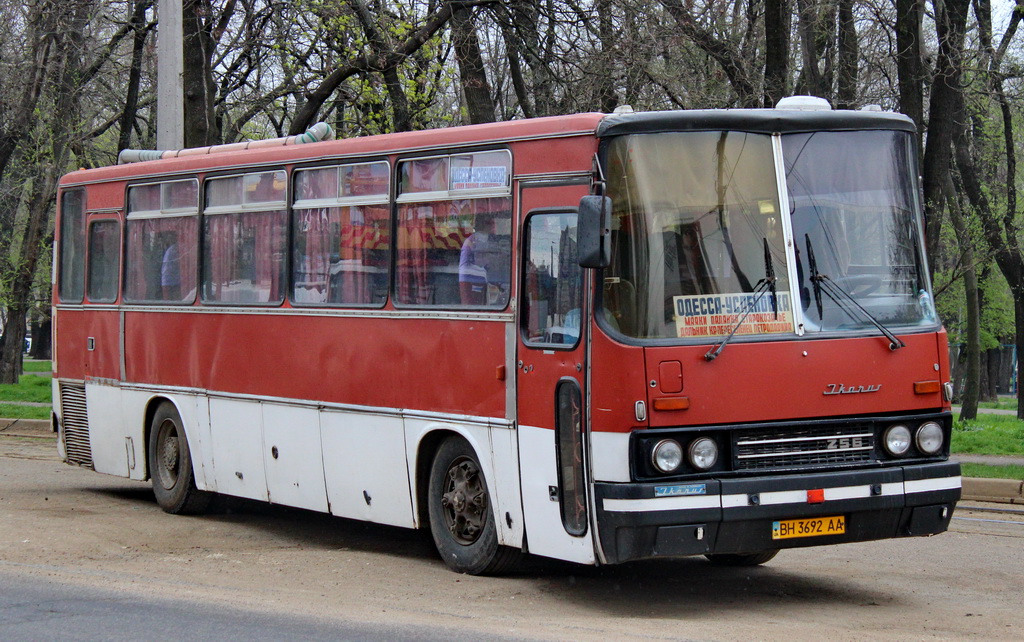 Odessa region, Ikarus 256.74 # BH 3692 AA