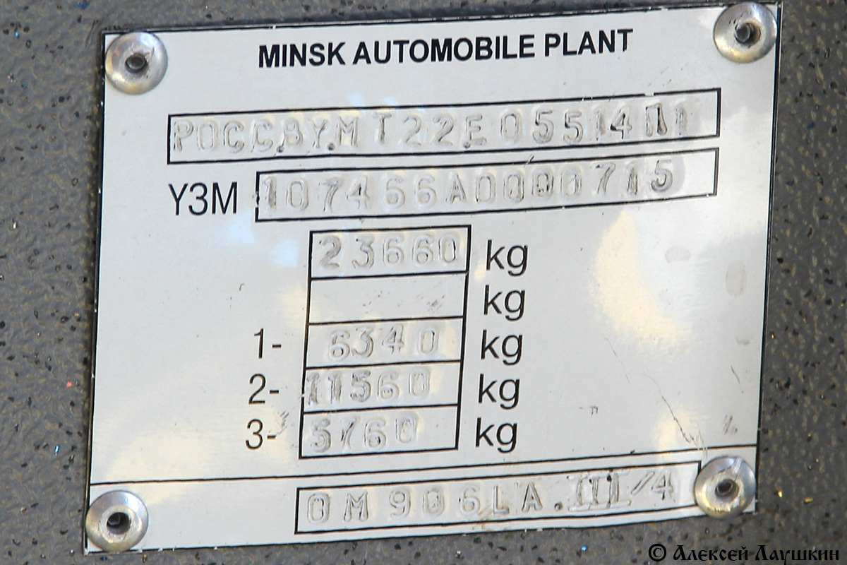 Воронежская область, МАЗ-107.466 № Р 173 АВ 136