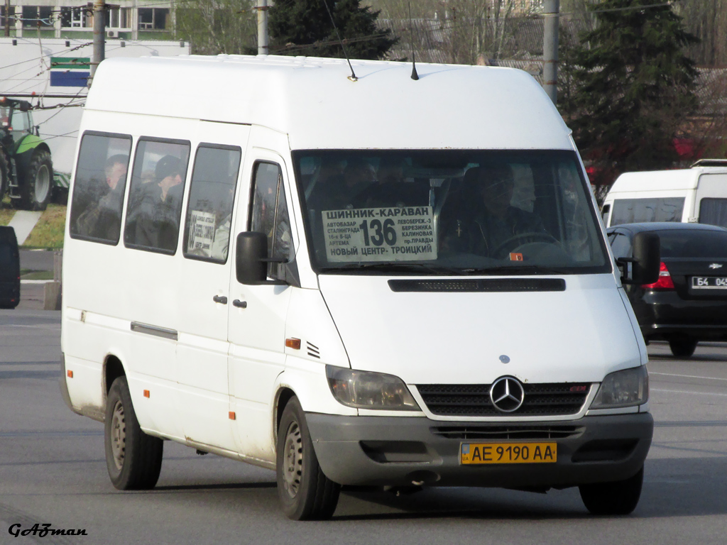 Днепропетровская область, Mercedes-Benz Sprinter W903 313CDI № AE 9190 AA