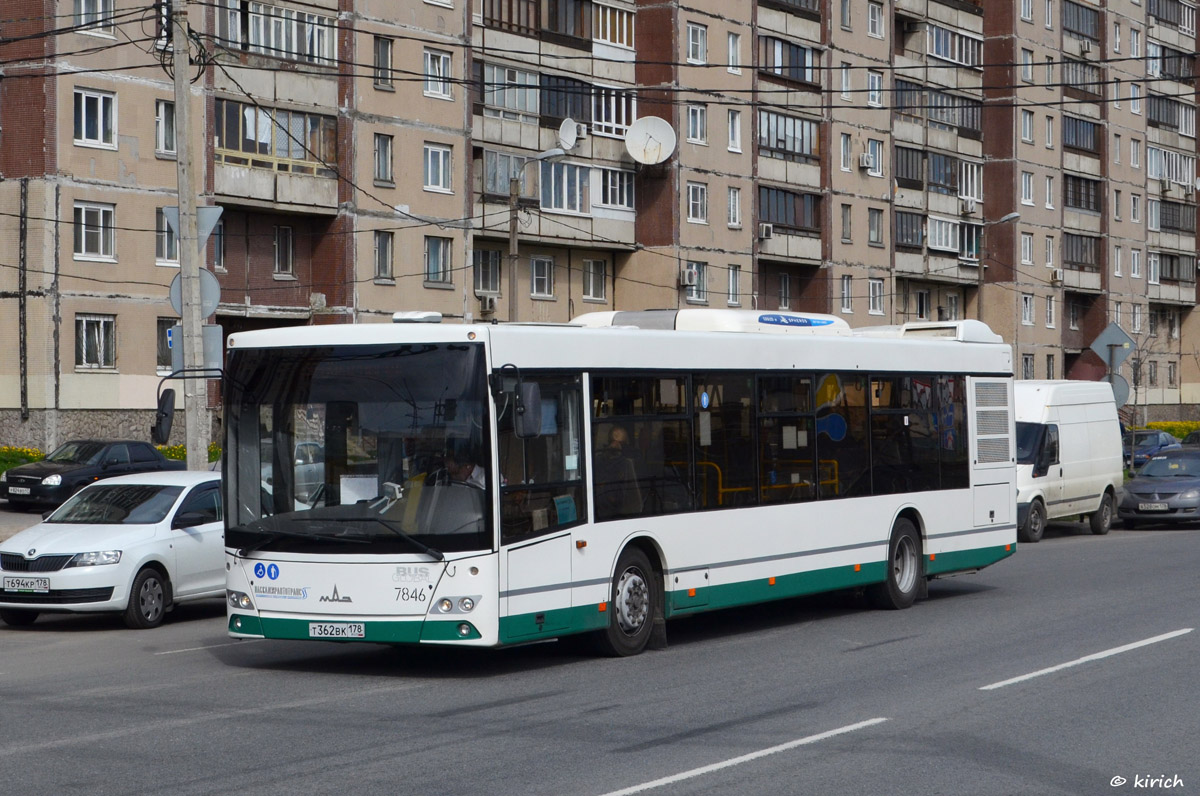 Санкт-Петербург, МАЗ-203.085 № 7846