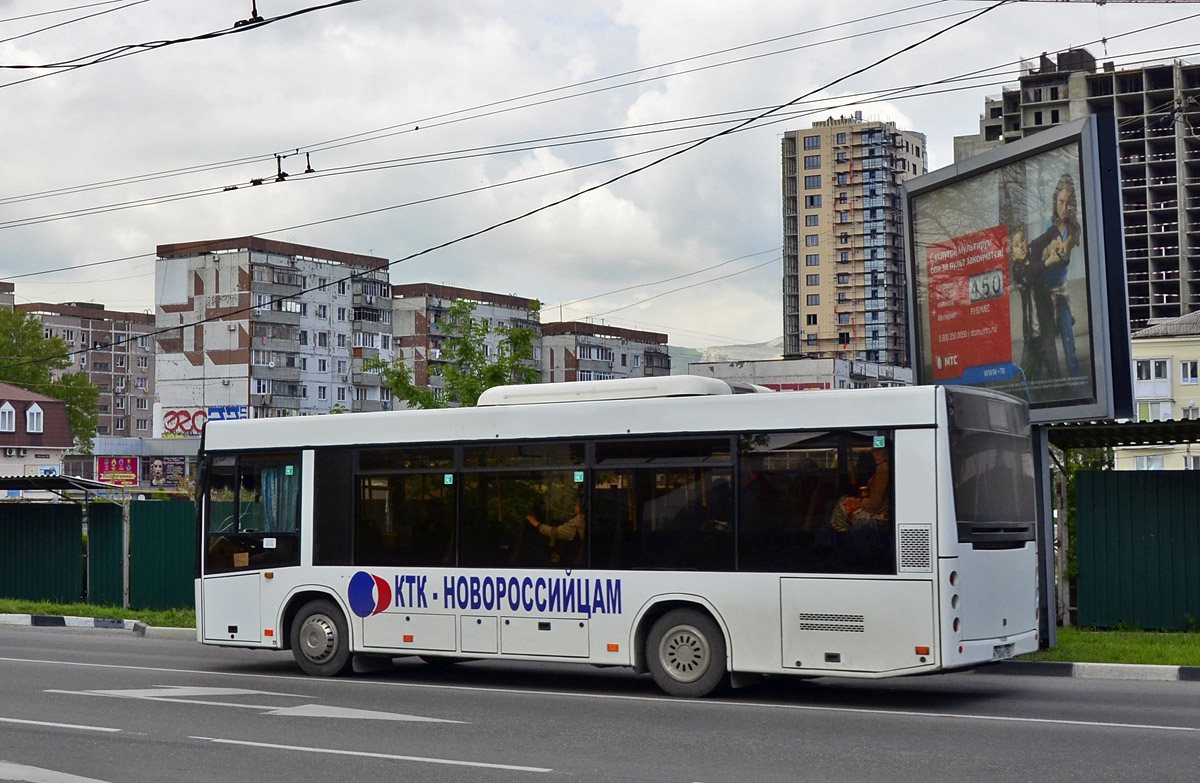 Krasnodar region, MAZ-226.063 Nr. Р 710 НХ 123