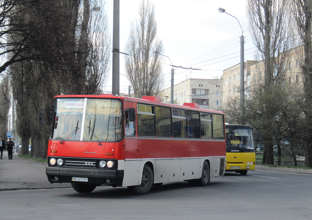 Ровненская область, Ikarus 250.59 № BK 6675 BI