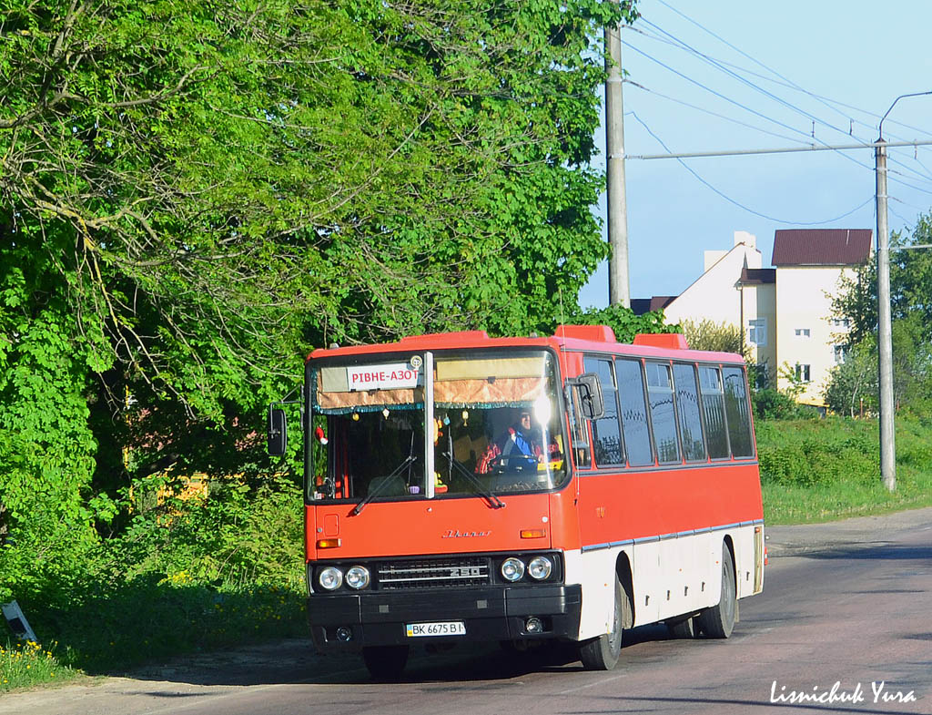 Ровненская область, Ikarus 250.59 № BK 6675 BI