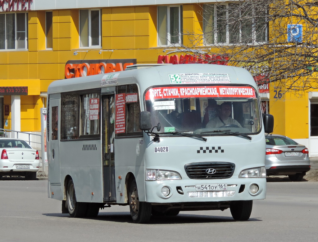 Ростовская область, Hyundai County LWB C11 (ТагАЗ) № 04028