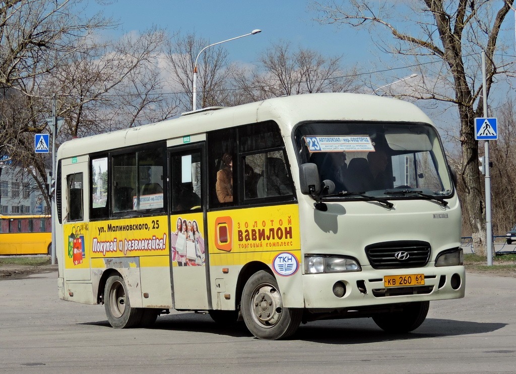 Ростовская область, Hyundai County SWB C08 (РЗГА) № 203