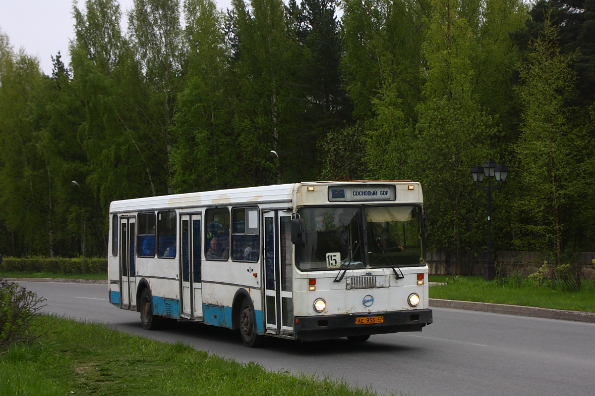 503 автобус остановки