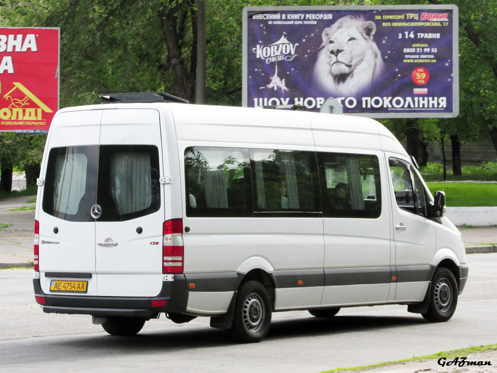 Днепропетровская область, Mercedes-Benz Sprinter W906 313CDI № AE 4754 AA