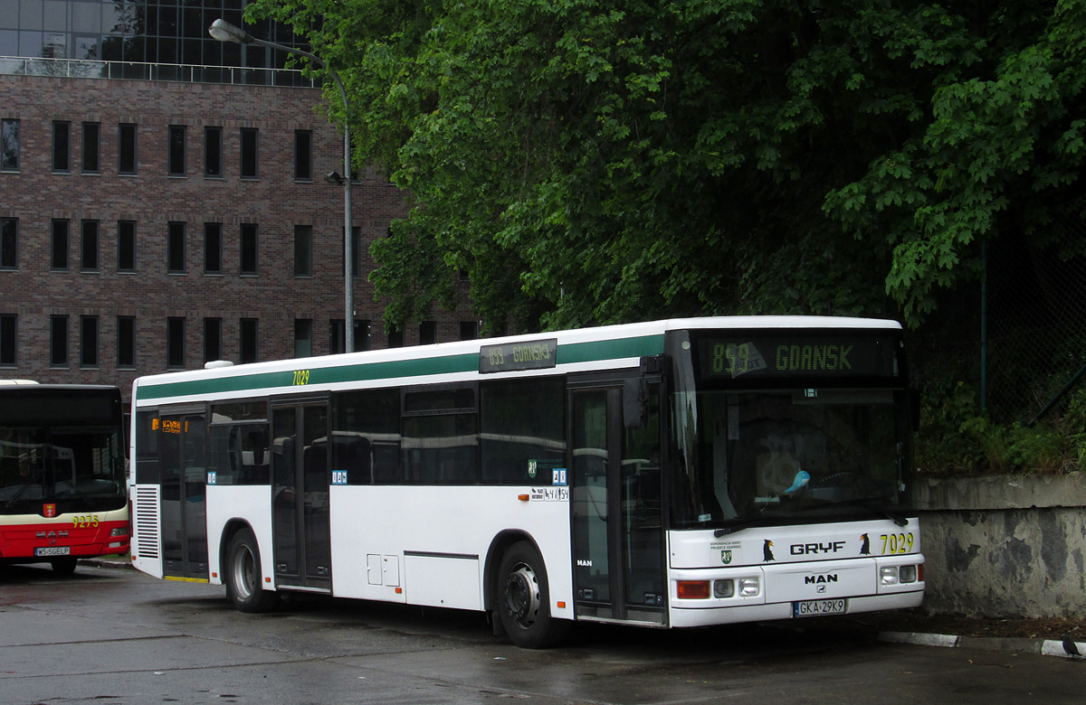 Польша, MAN A20 NÜ233 CNG № 7029