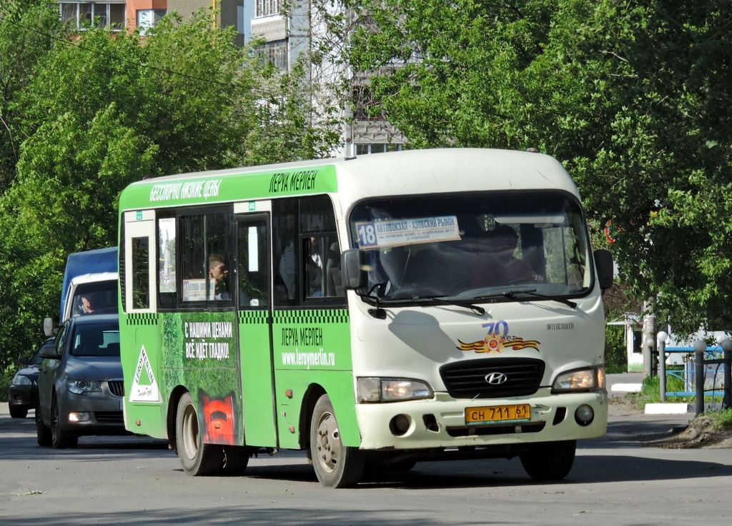 Ростовская область, Hyundai County SWB C08 (РЗГА) № СН 711 61