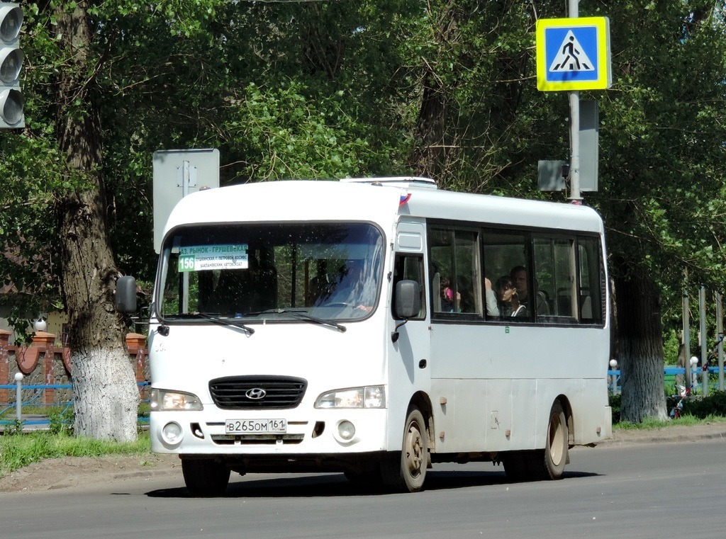 Ростовская область, Hyundai County LWB C11 (ТагАЗ) № В 265 ОМ 161