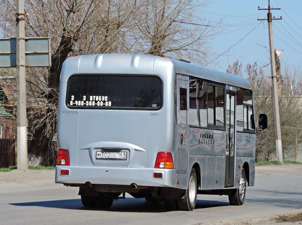 Ростовская область, Hyundai County LWB C09 (ТагАЗ) № М 302 ОС 161