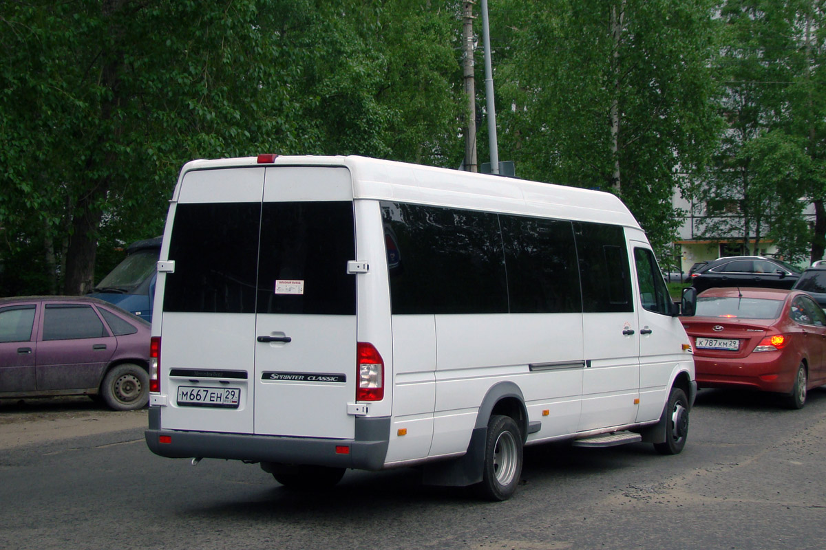 Архангельская область, Луидор-223203 (MB Sprinter Classic) № М 667 ЕН 29