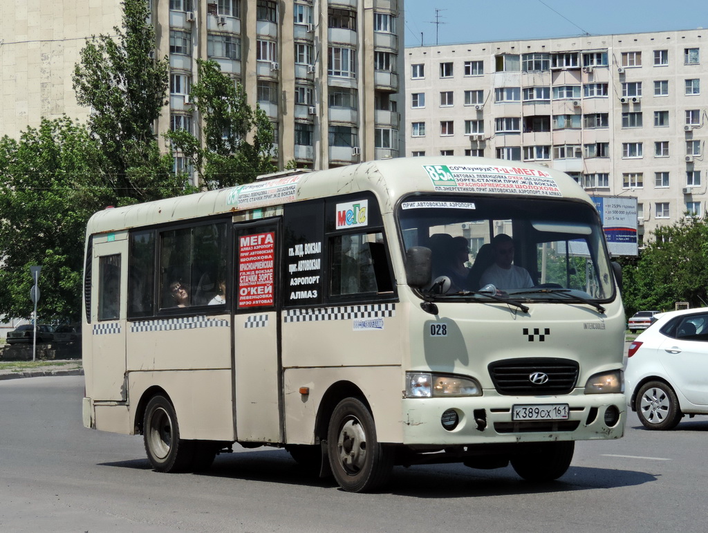 Ростовская область, Hyundai County SWB C08 (РЗГА) № 028