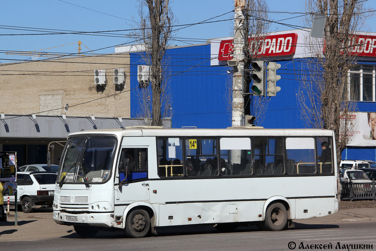 Воронежская область, ПАЗ-320412-03 № Р 339 ХС 36