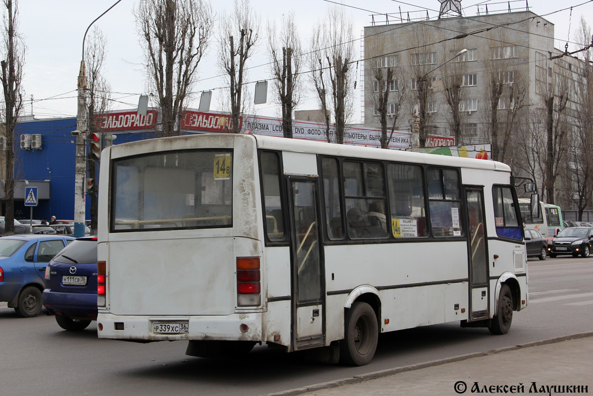 Воронежская область, ПАЗ-320412-03 № Р 339 ХС 36