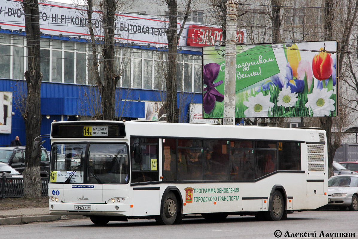 Воронежская область, МАЗ-103.469 № У 847 ХК 36