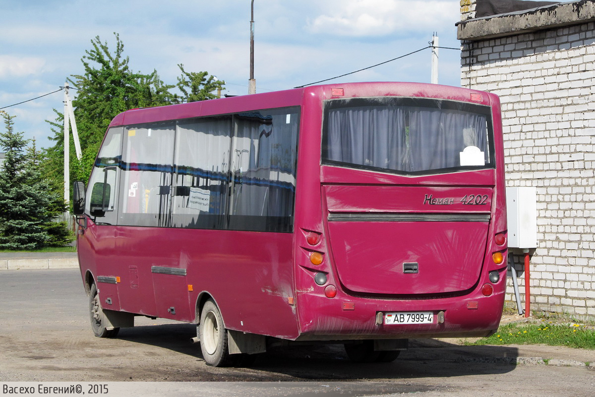 Гродненская область, Неман-420223 № 31453