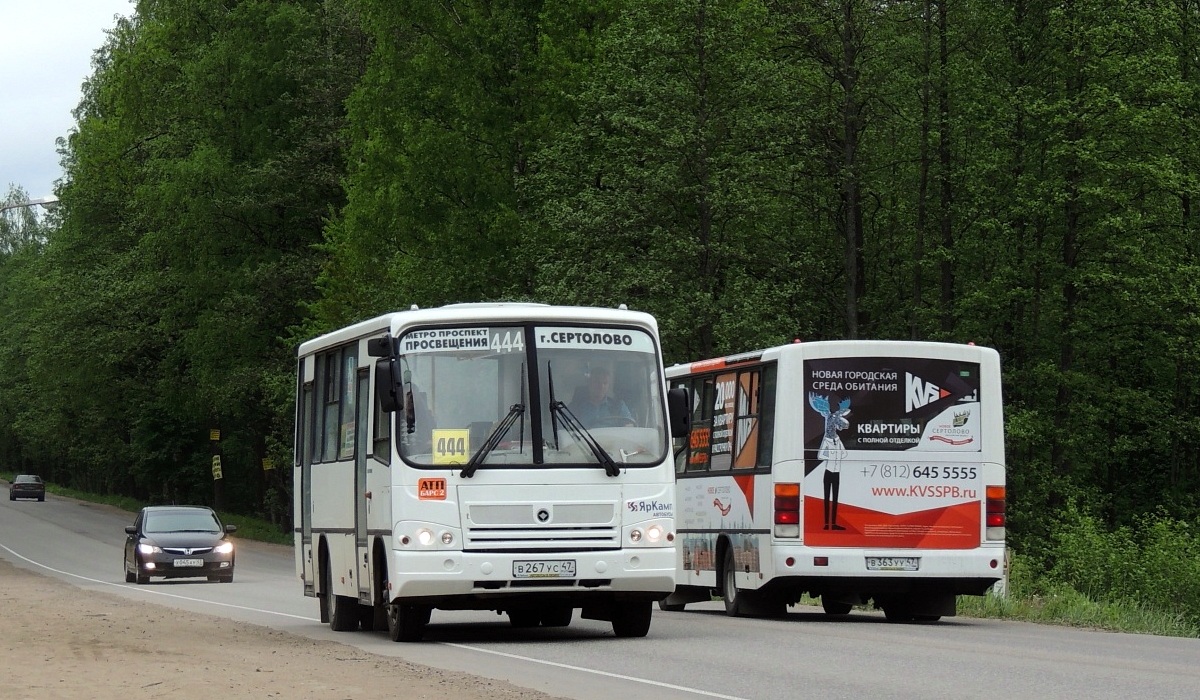 Ленинградская область, ПАЗ-320402-05 № 19