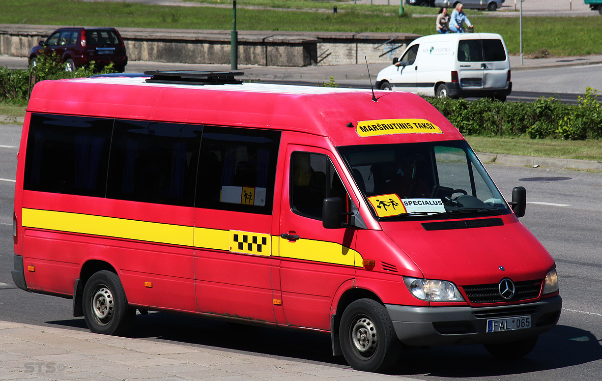 Lithuania, Mercedes-Benz Sprinter W903 313CDI # 06
