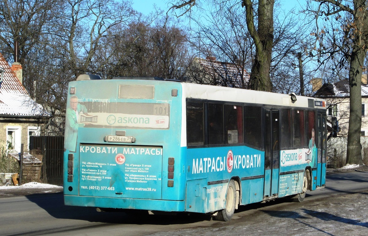 Калининградская область, Carrus K204 City M № Р 286 ЕВ 39