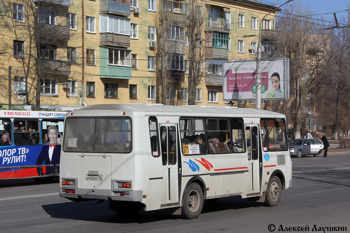 Воронежская область, ПАЗ-4234-05 № А 442 АВ 136