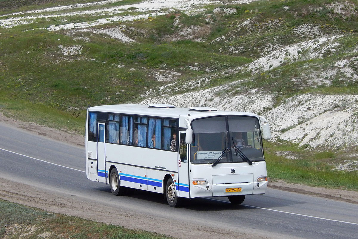 Белгородская область, КАвЗ-4238-02 № АМ 252 31