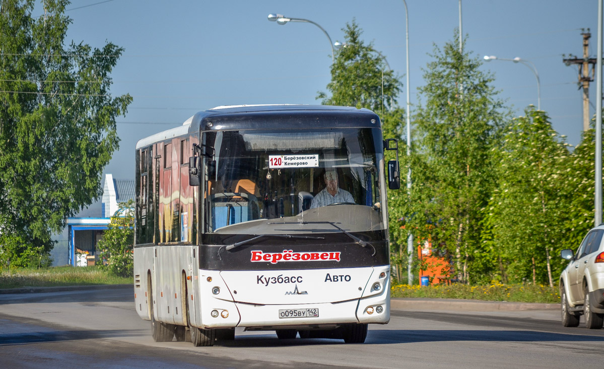 5 автобус березовский