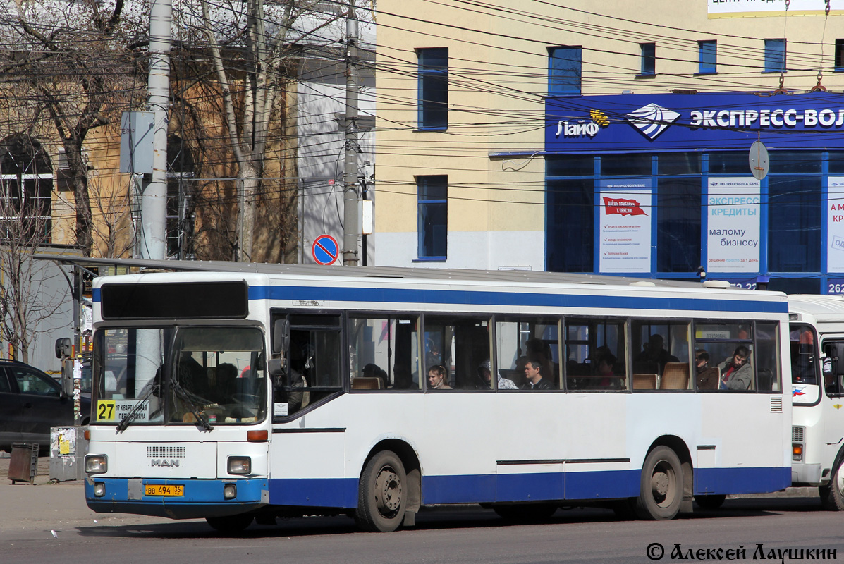 Воронежская область, MAN 791 SL202 № ВВ 494 36 — Фото — Автобусный транспорт