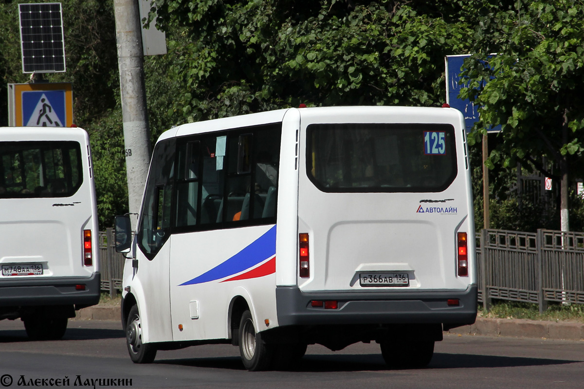 Воронежская область, ГАЗ-A64R42 Next № Р 366 АВ 136