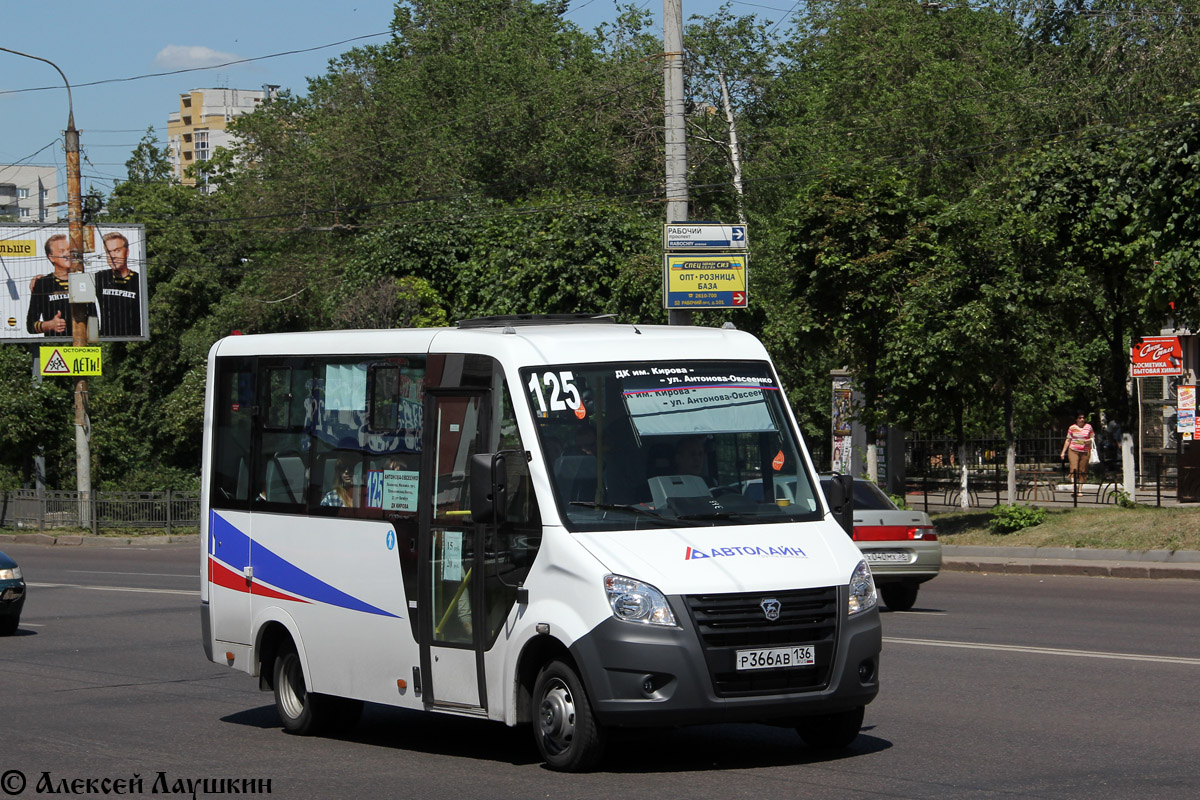 Воронежская область, ГАЗ-A64R42 Next № Р 366 АВ 136