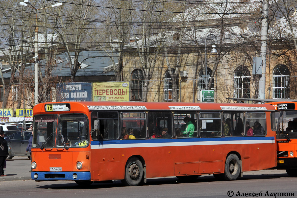 Воронежская область, MAN 192 SL200 № Т 176 ХМ 36