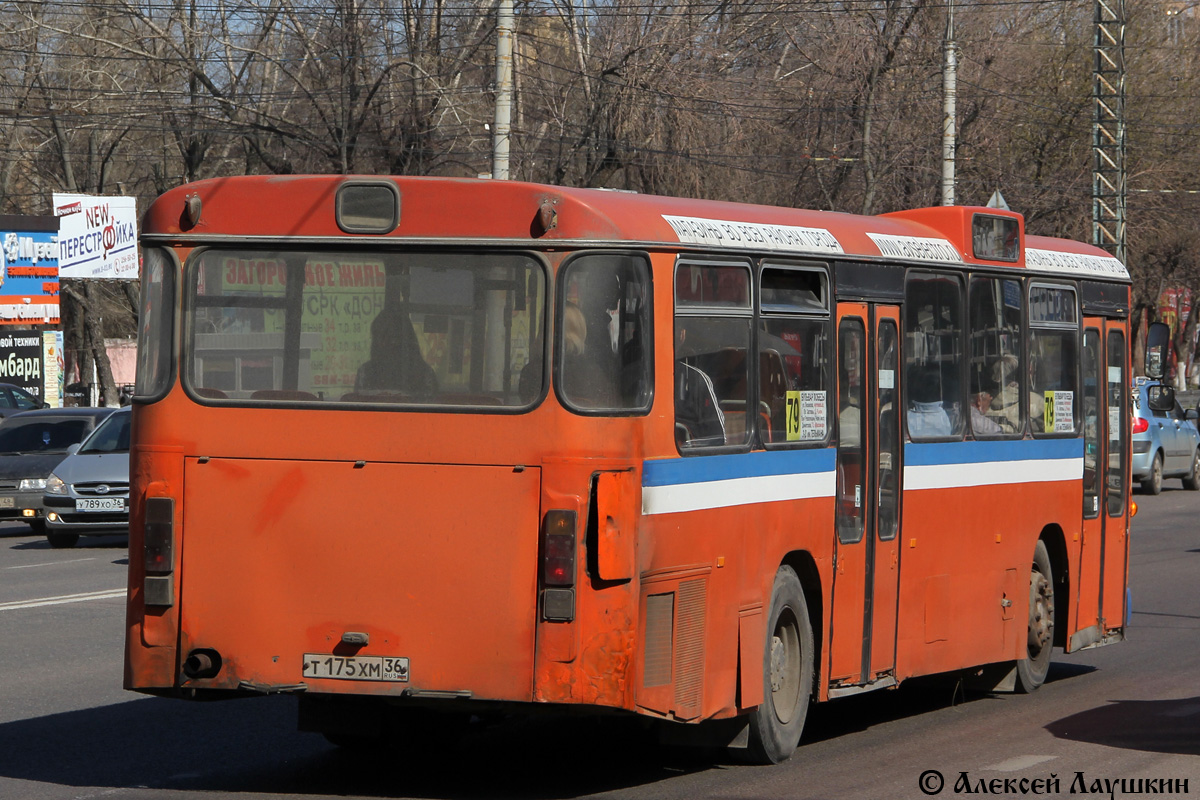 Воронежская область, MAN 192 SL200 № Т 176 ХМ 36