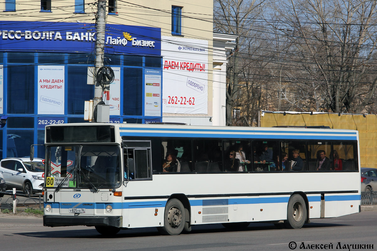 Воронежская область, Carrus K204 City № У 825 УА 36