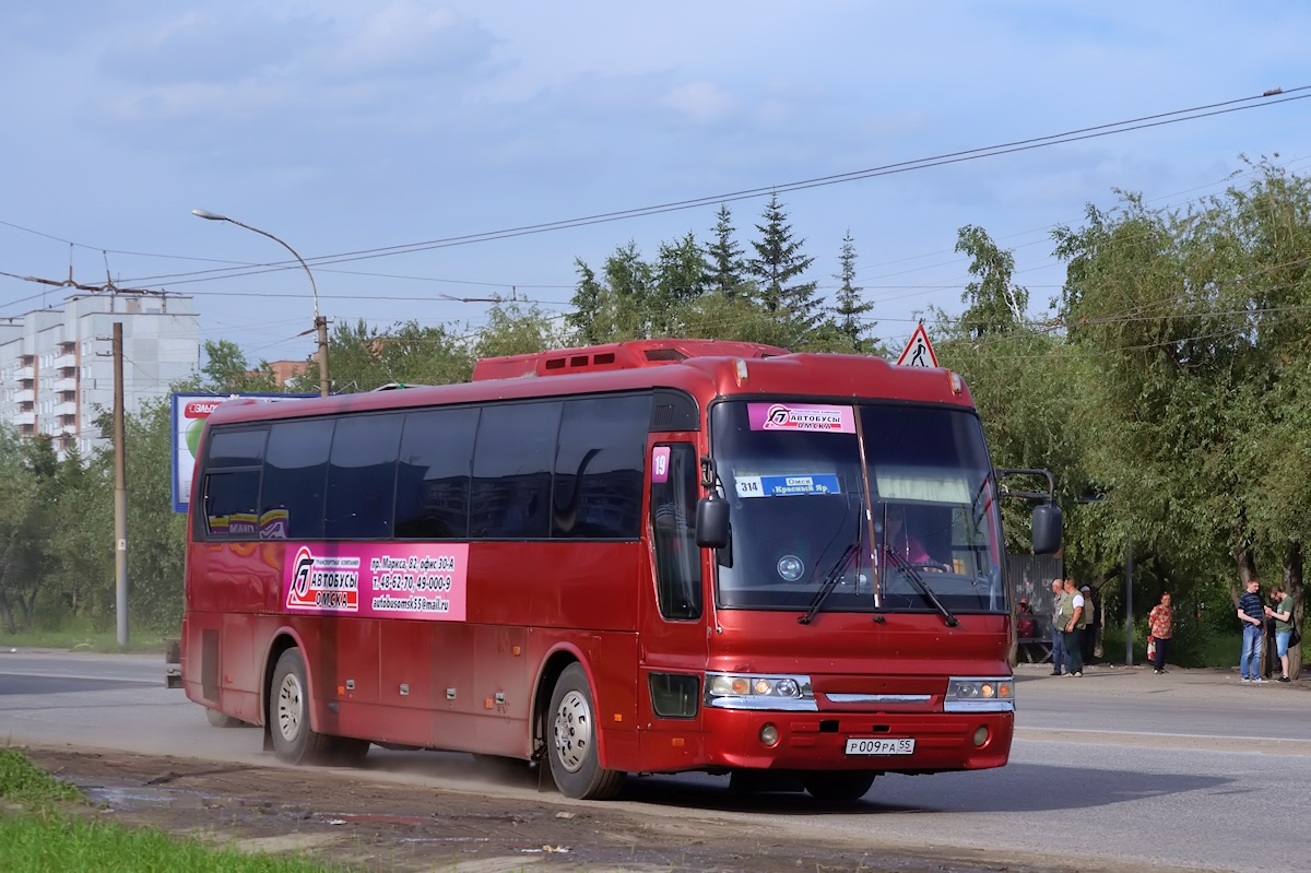 Омская область, Hyundai Aero Hi-Space № 19